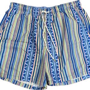 Southern Marsh Men's Blue Multi-Stripe Swim Trunks